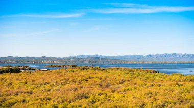 Ebro Delta Haliç ve sulak alanlar, Tarragona, Catalunya, İspanya. Metin için yer kopyalayın.
