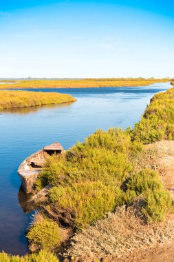 Ebro Delta Haliç ve sulak alanlar, Tarragona, Catalunya, İspanya. Metin için yer kopyalayın. Dikey.