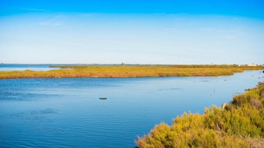 Ebro Delta Haliç ve sulak alanlar, Tarragona, Catalunya, İspanya. Metin için yer kopyalayın.