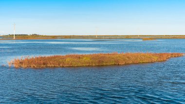 Ebro Delta Haliç ve sulak alanlar, Tarragona, Catalunya, İspanya. Metin için yer kopyalayın.
