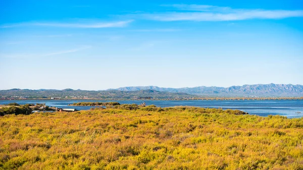 Estuário Ebro Delta e zonas húmidas, Tarragona, Catalunha, Espanha. Espaço de cópia para texto . — Fotografia de Stock