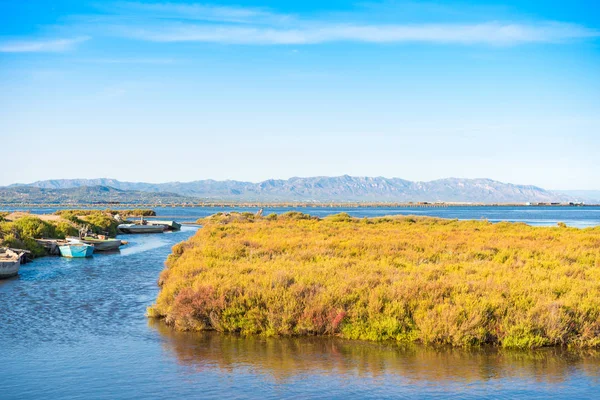 Estuário Ebro Delta e zonas húmidas, Tarragona, Catalunha, Espanha. Espaço de cópia para texto . — Fotografia de Stock