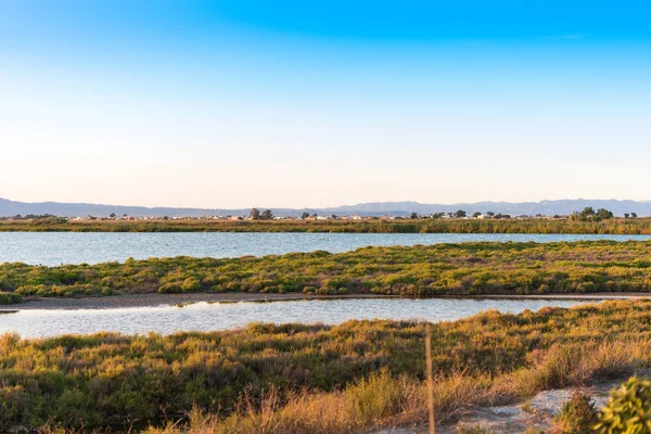 Ebro Delta Haliç ve sulak alanlar, Tarragona, Catalunya, İspanya. Metin için yer kopyalayın.