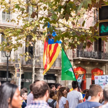Barcelona, İspanya - 3 Ekim 2017: Bağımsızlık Barcelona'da protestolar sırasında Katalan bayrakları taşıyan göstericiler. Yakın çekim.