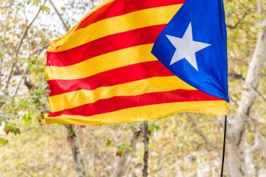 Bir estelada, Katalan ayrılıkçı bayrak, Barcelona, Catalunya, İspanya. Yakın çekim.