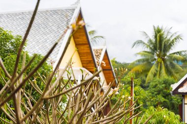 Louangphabang, Laos konut bina görünüm. Yakın çekim
