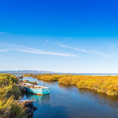 Ebro Delta Haliç ve sulak alanlar, Tarragona, Catalunya, İspanya. Metin için yer kopyalayın.