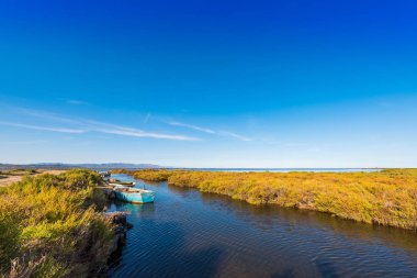 Ebro Delta Haliç ve sulak alanlar, Tarragona, Catalunya, İspanya. Metin için yer kopyalayın.