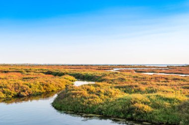 Ebro Delta Haliç ve sulak alanlar, Tarragona, Catalunya, İspanya. Metin için yer kopyalayın.