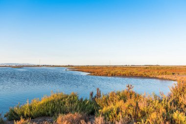 Ebro Delta Haliç ve sulak alanlar, Tarragona, Catalunya, İspanya. Metin için yer kopyalayın.