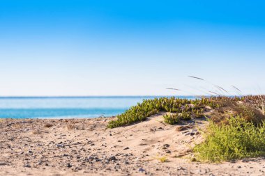 Kum plaj Miami Platja, Tarragona, Catalunya, İspanya. Yakın çekim.