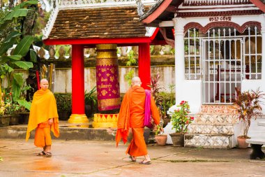 Louangphabang, Laos - 11 Ocak 2017: Rahipler Tapınağı'nın avlusunda. Metin için yer kopyalayın. 