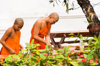 Louangphabang, Laos - 11 Ocak 2017: Rahipler Tapınağı'nın avlusunda yemek hazırlamak. Metin için yer kopyalayın. 