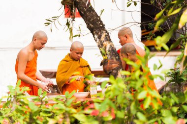 Louangphabang, Laos - 11 Ocak 2017: Rahipler Tapınağı'nın avlusunda yemek hazırlamak. Metin için yer kopyalayın. 