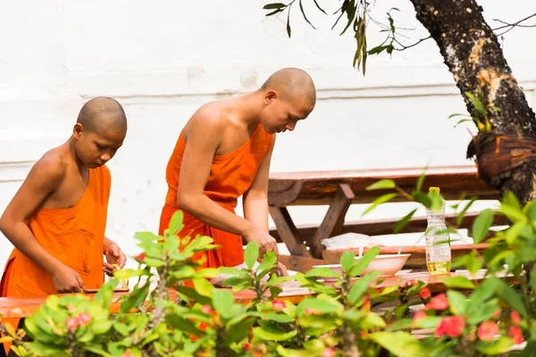 LOUANGPHABANG, LAOS - 11 DE ENERO DE 2017: Monjes en el patio del templo preparan comida. Copiar espacio para texto . — Foto de Stock