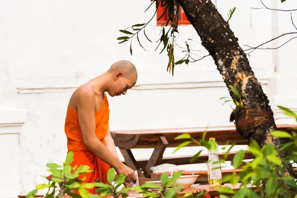 Louangphabang, laos - 11. Januar 2017: Der Mönch im Hof des Tempels bereitet Essen zu. Kopierraum für Text. — Stockfoto