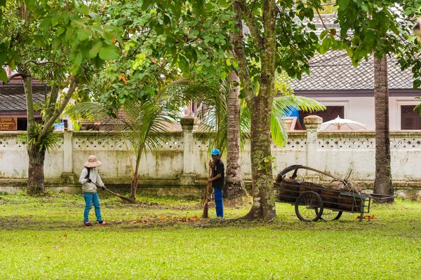 LOUANGPHABANG, LAOS - 11 DE ENERO DE 2017: Los jardineros limpian en una calle de la ciudad. Copiar espacio para texto . — Foto de Stock