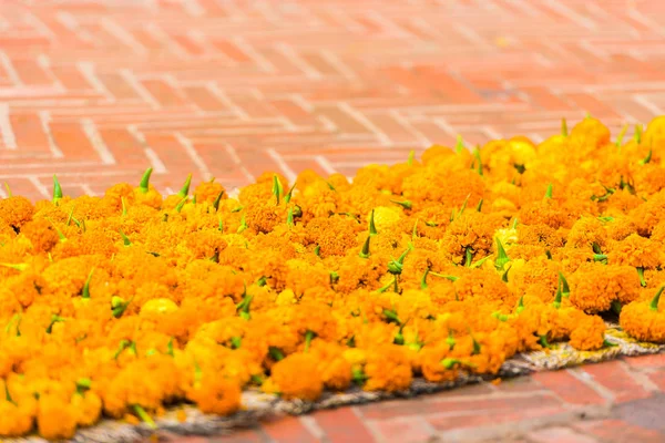 Flores de color naranja en el suelo en Louangphabang, Laos. Primer plano . —  Fotos de Stock