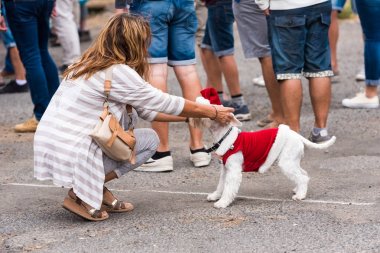 Bir takım elbise retro otomobil Volkswagen, Agde, Fransa bir sergisinde bir köpek. Metin için yer kopyalayın.
