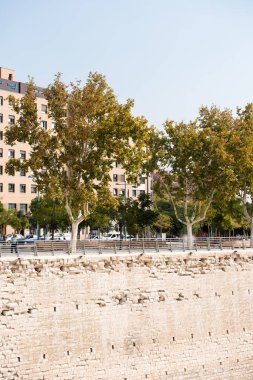 Zaragoza, İspanya - 27 Eylül 2017: Quay Ebro Nehri boyunca. Metin için yer kopyalayın. Dikey.