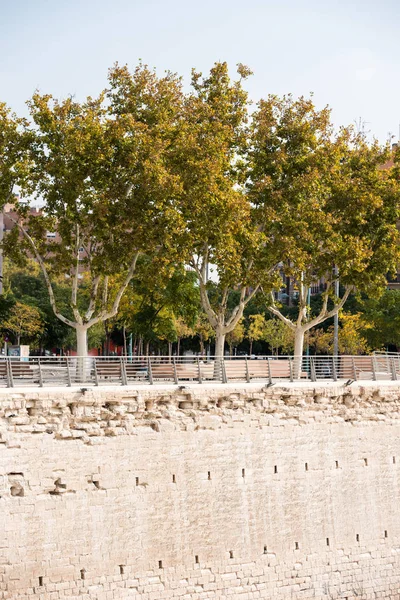 Quay along the Ebro river, Zaragoza, Spain. Copy space for text. Vertical. — Stock Photo, Image