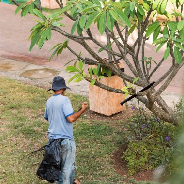 Bahçıvan Bahçe, Varadero, Matanzas, Küba'da çalışır. Yakın çekim.