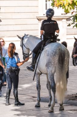 Madrid, İspanya - 26 Eylül 2017: Atlı polis merkezi. Metin için yer kopyalayın. Arkadan Görünüm.