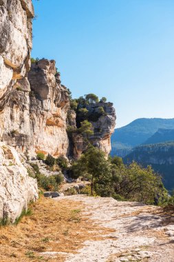 Kayalık peyzaj Siurana de Prades, Tarragona, Catalunya, İspanya. Metin için yer kopyalayın. Dikey.
