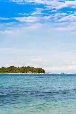 Bir kum plajındaki, Maldivler, Hint Okyanusu görüş-in Hindistan cevizi avuç içi ile tropikal bir ada. Metin için yer kopyalayın. Dikey.                               