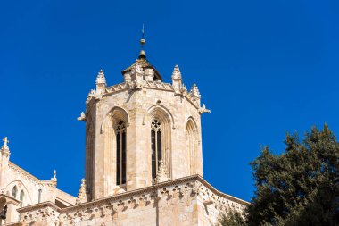 Tarragona Cathedral (Katolik Katedrali) güneşli bir günde, Catalunya, İspanya. Metin için yer kopyalayın.
