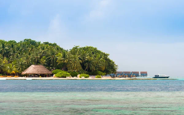 모래 해변, 몰디브, 인도양에 코코넛 야자수와 열 대 섬의 전망. 텍스트를 위한 공간 복사. — 스톡 사진
