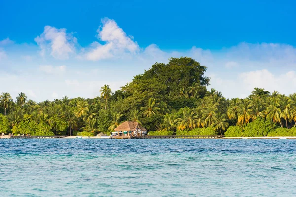 모래 해변, 몰디브, 인도양에 코코넛 야자수와 열 대 섬의 전망. 텍스트를 위한 공간 복사. — 스톡 사진