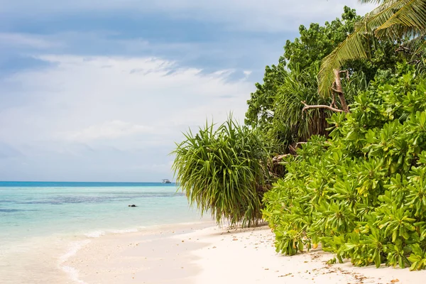 모래 해변, 몰디브, 인도양의 전망. 텍스트를 위한 공간 복사. — 스톡 사진