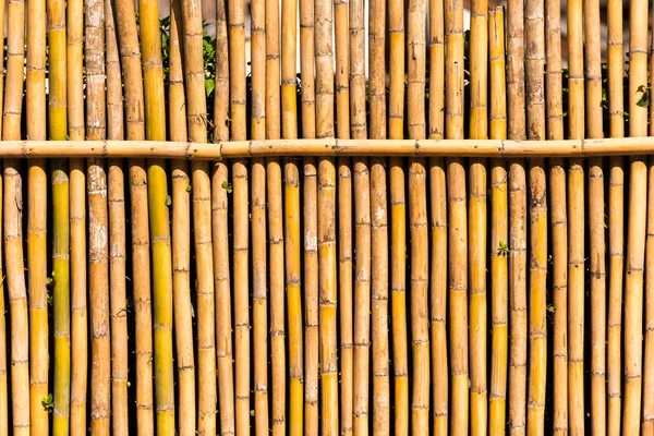 Bamboo bakgrund, Louangphabang, Laos. Närbild. — Stockfoto