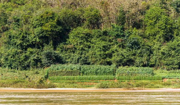 景色的河流南汗, 琅勃拉邦, 老挝。复制文本空间 — 图库照片