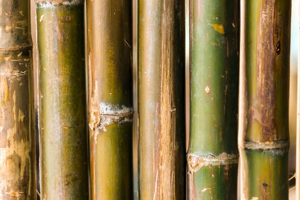 Persianas de bambu close-up, Luang Prabang, Laos . — Fotografia de Stock