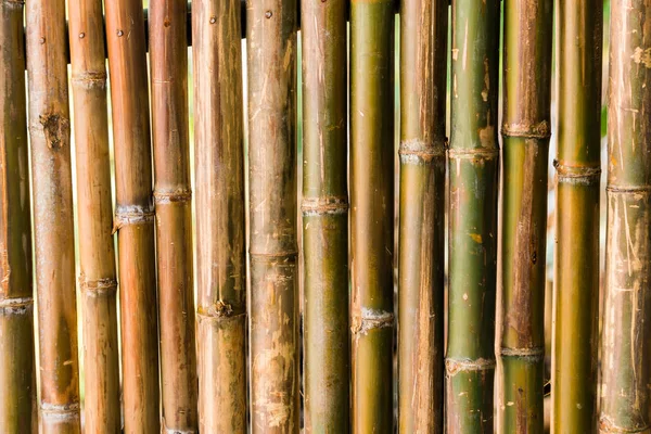 Persianas de bambu close-up, Luang Prabang, Laos . — Fotografia de Stock