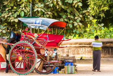 Bagan, Myanmar - 1 Aralık 2016: Şehrin sokak üzerinde koç. Metin için yer kopyalayın.