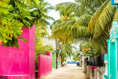 Özel binalar, Male, Maldivler görünümünü. Metin için yer kopyalayın. 