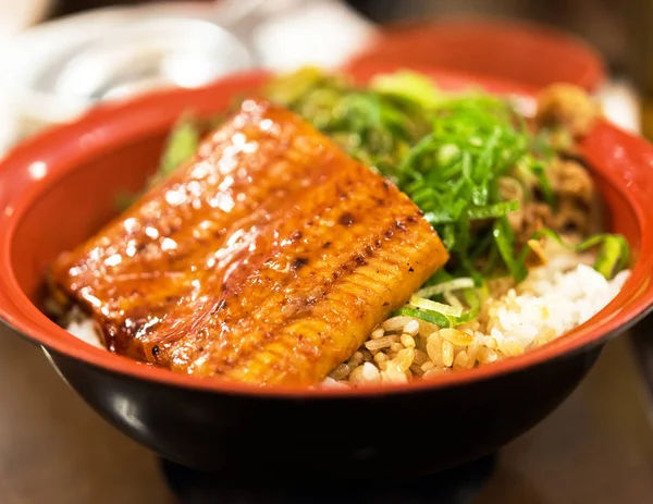 Bowl of rice and stew - Japanese cuisine, Tokyo, Japan. Close-up.