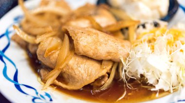 Kızarmış domuz soğanlı bir plaka - Japon çanak, Tokyo, Japonya. Yakın çekim.