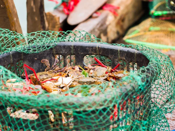 Caranguejos à venda no mercado local, Halong, Vietnã. Close-up . — Fotografia de Stock