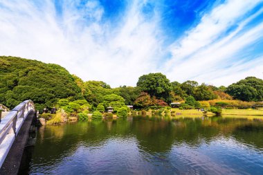 Tokyo, Japonya - 31 Ekim 2017: Shinjuku Parkı sonbaharda. Metin için yer kopyalayın.