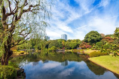 Shinjuku Parkı, Tokyo, Japonya sonbaharda. Metin için yer kopyalayın.