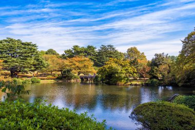 Shinjuku Parkı, Tokyo, Japonya sonbaharda. Metin için yer kopyalayın.