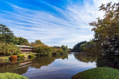 Shinjuku Parkı, Tokyo, Japonya sonbaharda. Metin için yer kopyalayın.