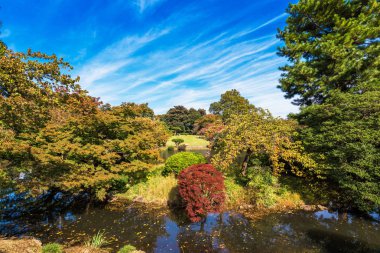 Shinjuku Parkı, Tokyo, Japonya sonbaharda. Metin için yer kopyalayın.