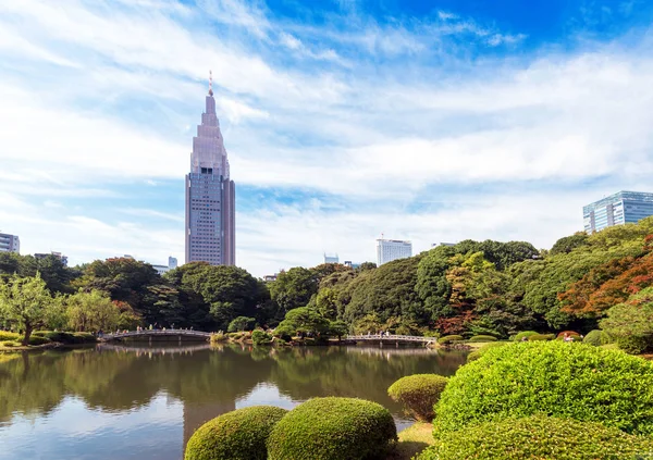 Autunno nel parco Shinjuku, Tokyo, Giappone. Copia spazio per testo . — Foto Stock