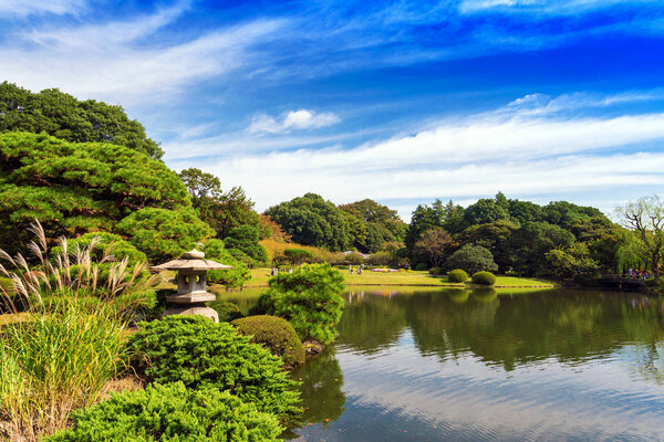Autumn in the Shinjuku park, Tokyo, Japan. Copy space for text.