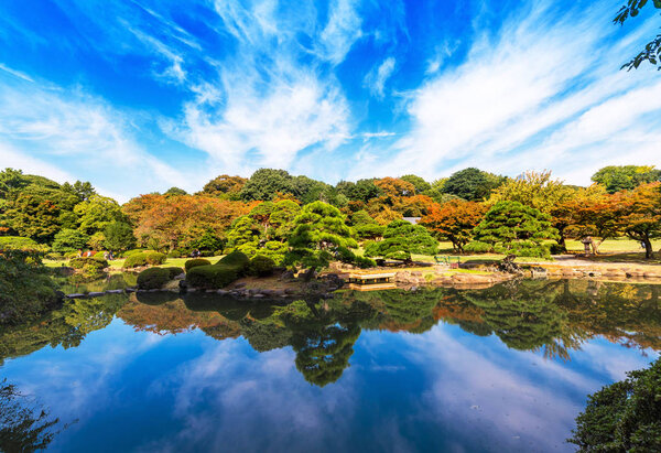 Autumn in the Shinjuku park, Tokyo, Japan. Copy space for text.